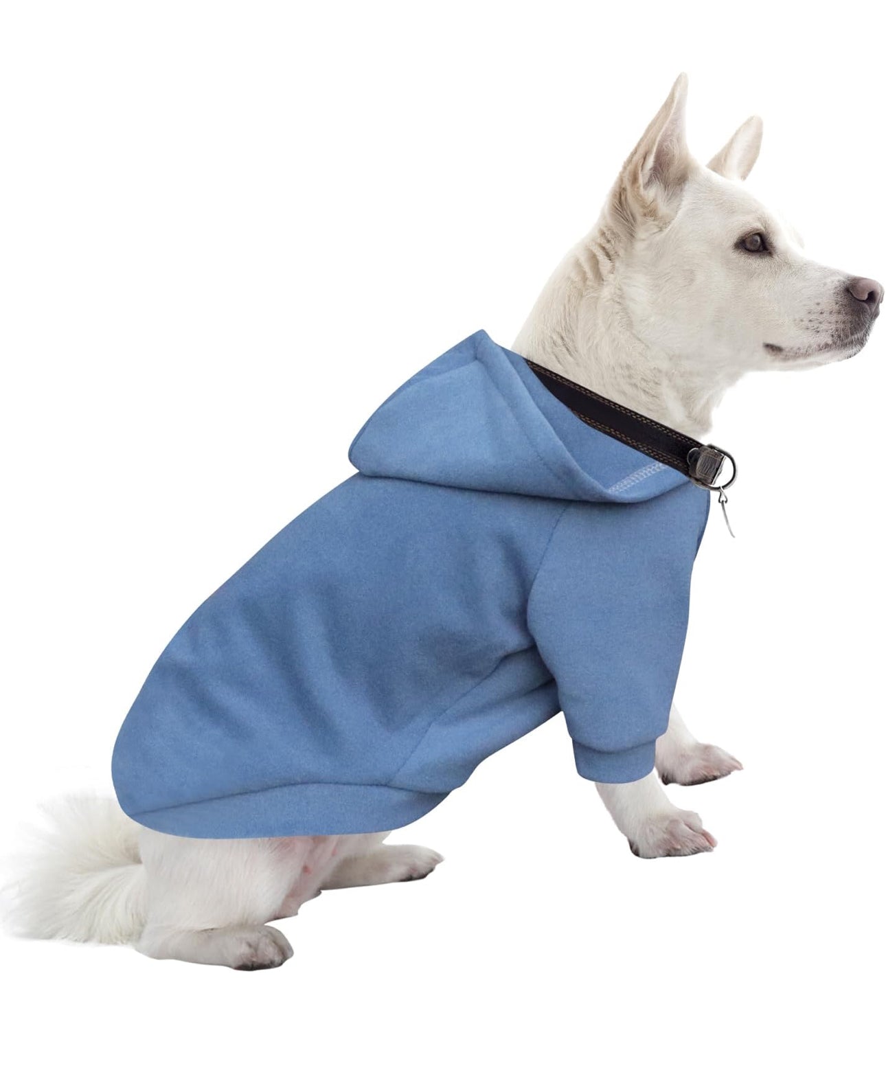 Customized Dog Hoody