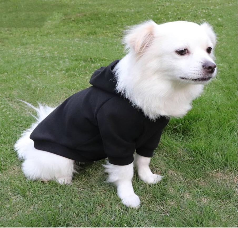 Customized Dog Hoody
